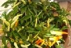 Zinnia-2.html